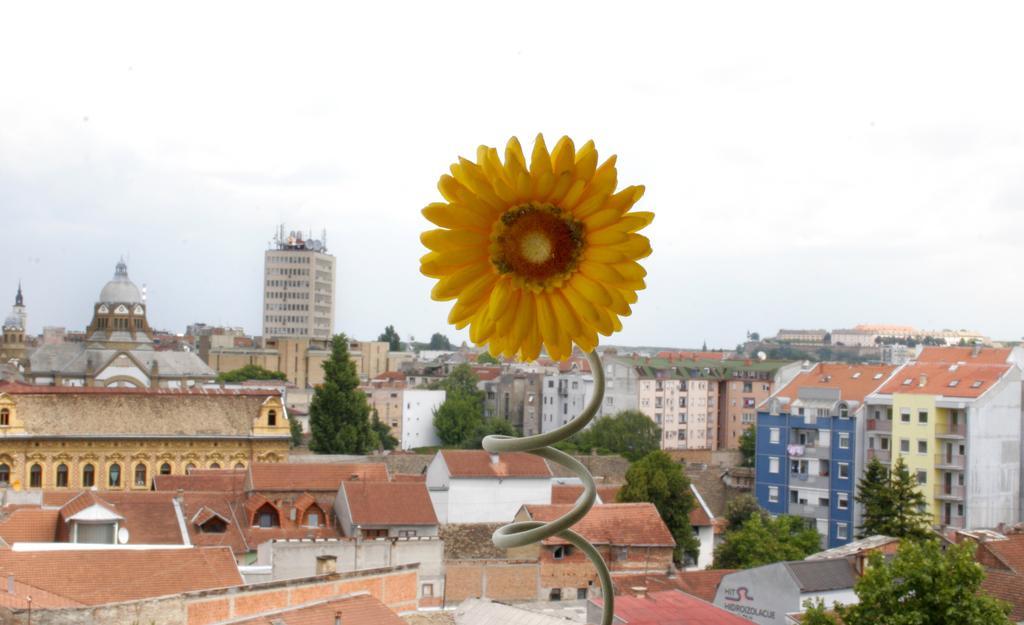 Panorama City Inn Sremski Karlovci Bagian luar foto